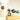 Pearl Milk Gianduia 8 pcs
