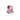 Bacio di Dama & Pannacotta Gift Box