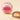 BacioDiDama Milk Chocolate Bulk Bag