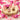 Pearl Strawberry & Cream Bulk Bag