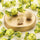 Pearl Salted Pistachio Bulk Bag