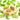 Gianduiotto Pistachio Bulk Bag