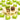 Chocoviar Pistachio Bulk Bag